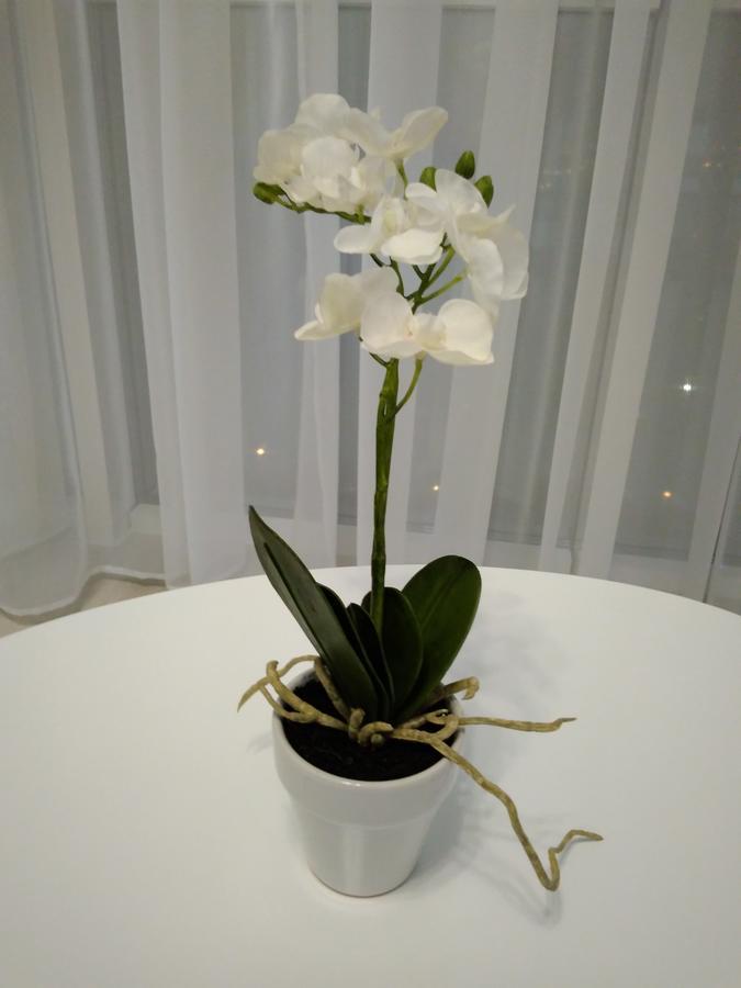 오데사 Astashkina 아파트 외부 사진